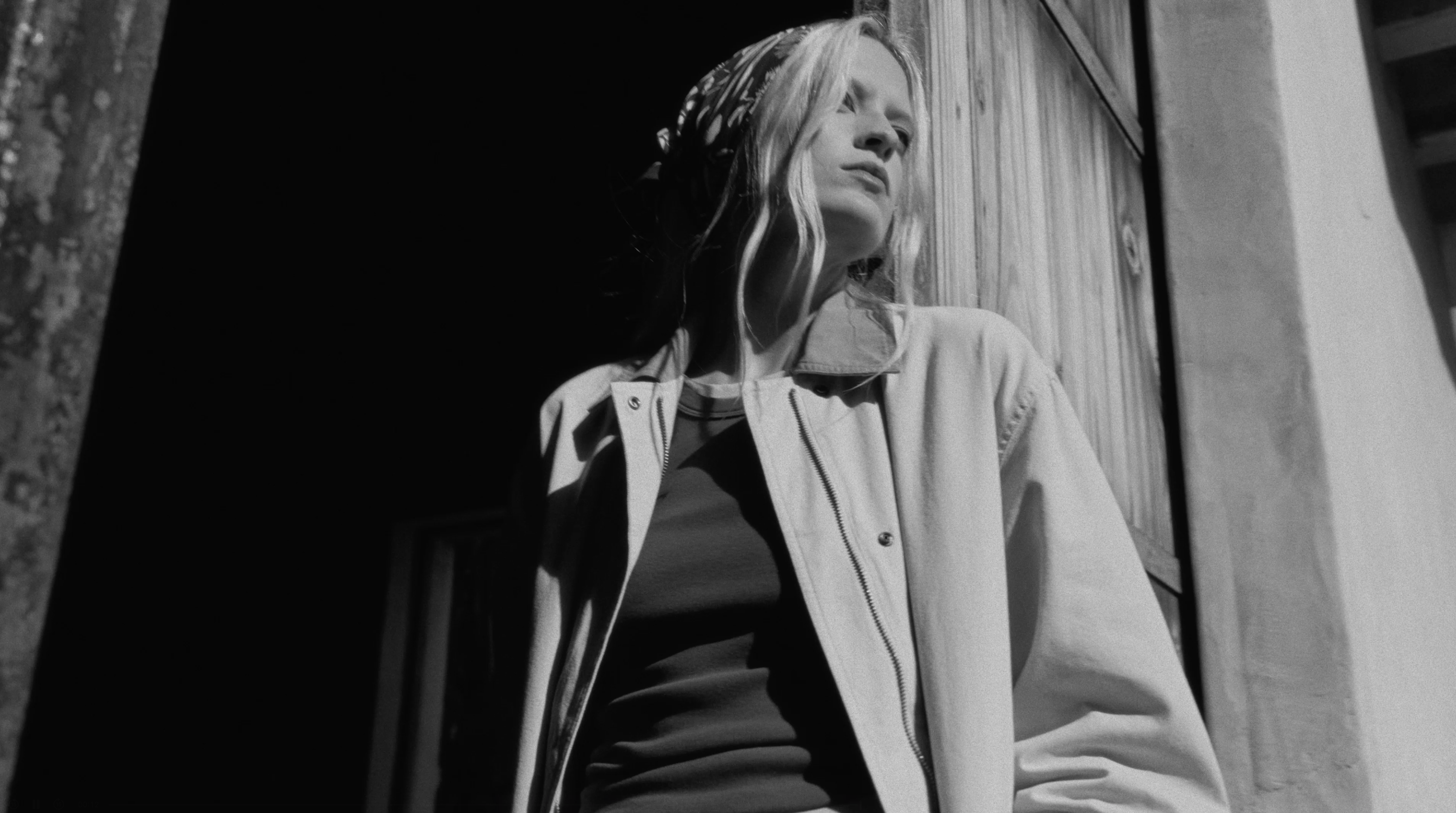 EXPLORE THE COLLECTION