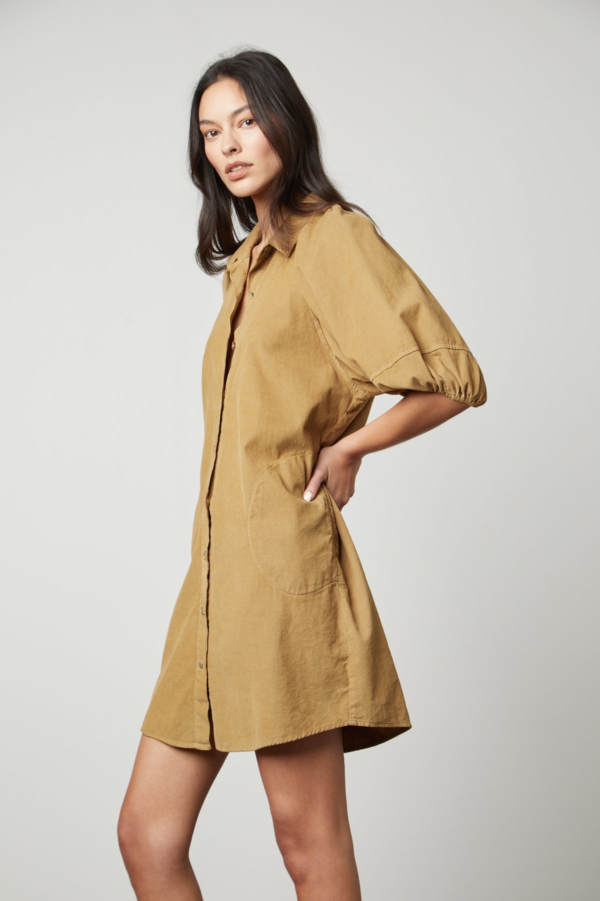 The model is wearing a KADY CORDUROY BUTTON-UP DRESS by Velvet by Graham & Spencer.-26727742013633