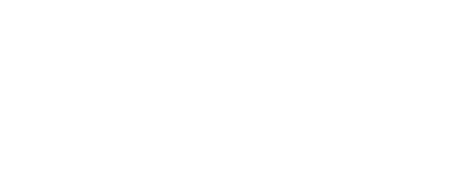 Bryan Greenberg x Velvet New Classics collection logo