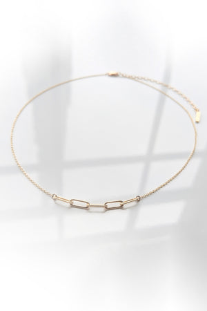 An everyday piece of jewelry with a CORA NECKLACE BY Thatch and a small link.