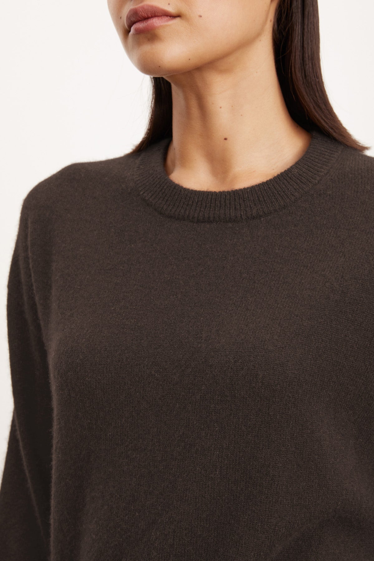 Model wears the BRYNNE CASHMERE SWEATER by Velvet by Graham & Spencer—a dark brown crewneck with relaxed shoulders and long sleeves, shown from the shoulders up against a plain background.-40281808896193