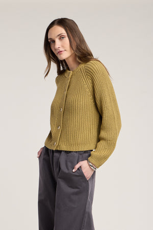 LISABETH CHUNKY PIMA COTTON BUTTON FRONT CARDIGAN – Velvet by