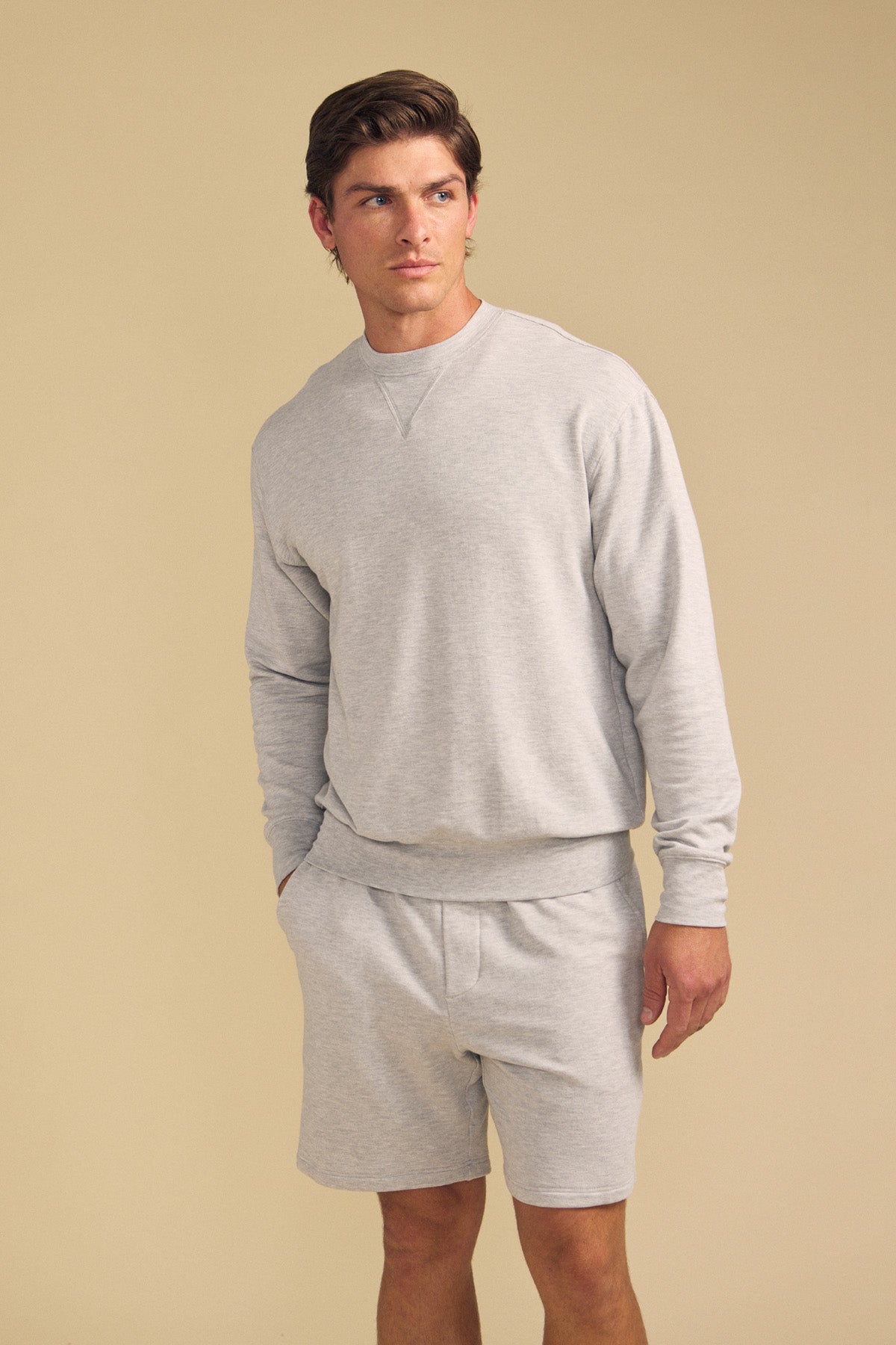 A man wearing the OTIS SWEATSHIRT by Velvet by Graham & Spencer in light gray stands against a plain beige background, gazing slightly to the side.-41702161514689