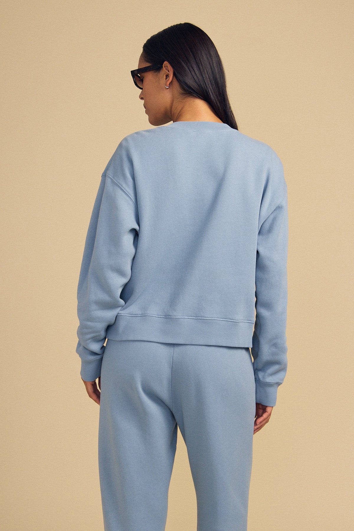 Person in a light blue cotton fleece sweatshirt and ZARA SWEATPANT by Velvet by Graham & Spencer stands facing away against a beige background, wearing sunglasses.-46269679534273
