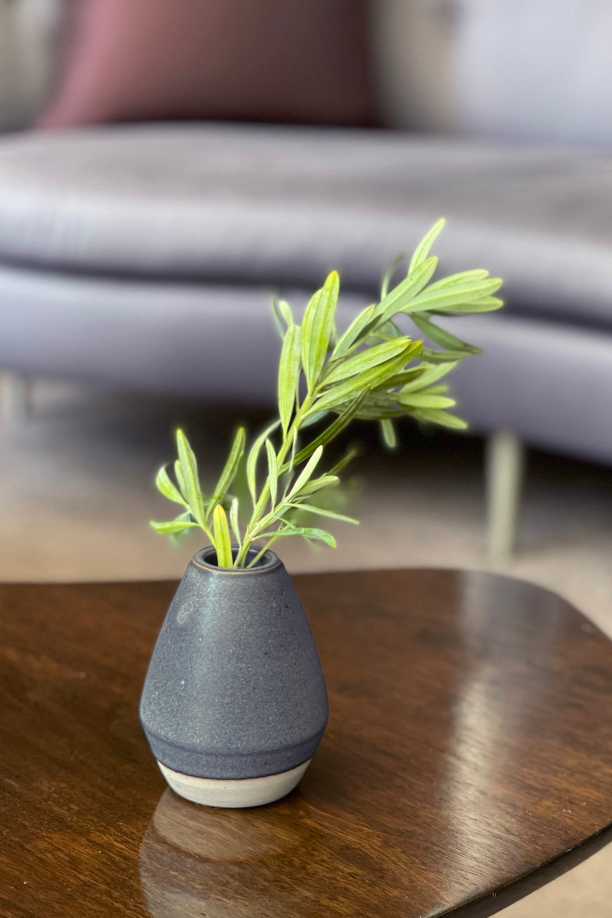   A CERAMIC BUD VASE from Jenny Graham Home with green leaves placed on a wooden table, with a blurred couch in the background, adds a touch of charm to the guest bathroom. 