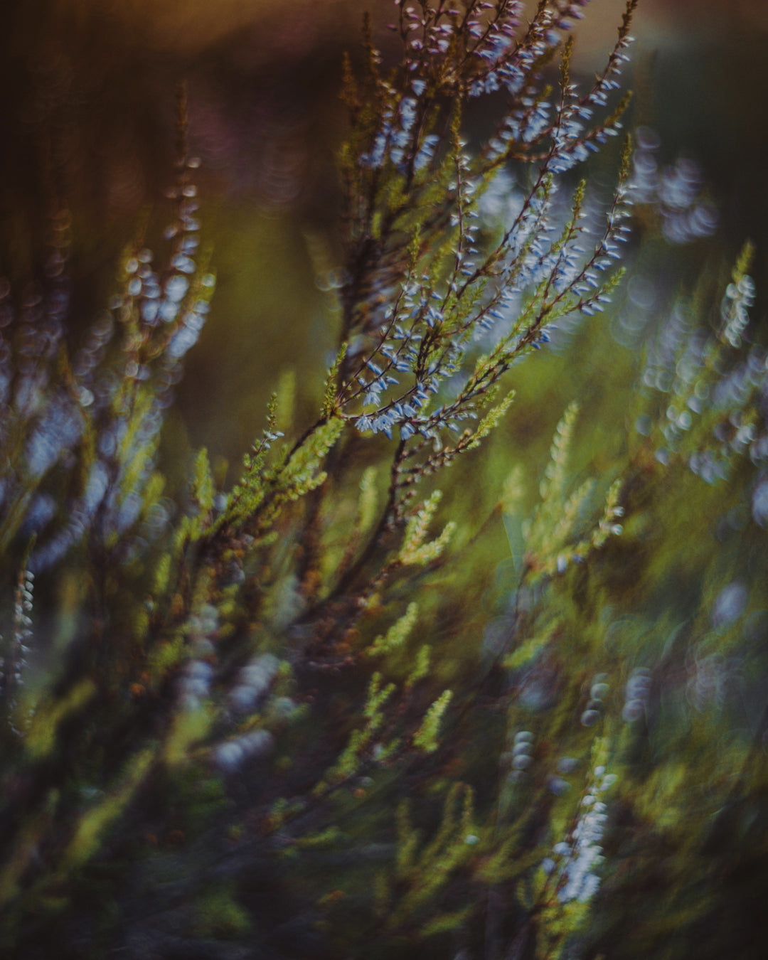  Mobile Full Bleed Banner 