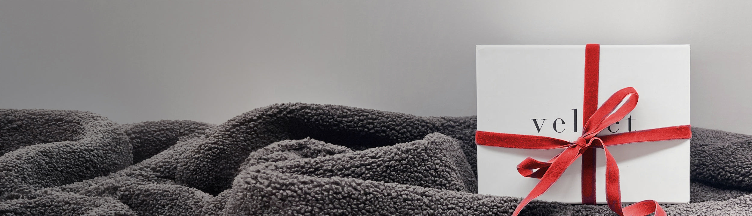  2025 Holiday Gift Guide 