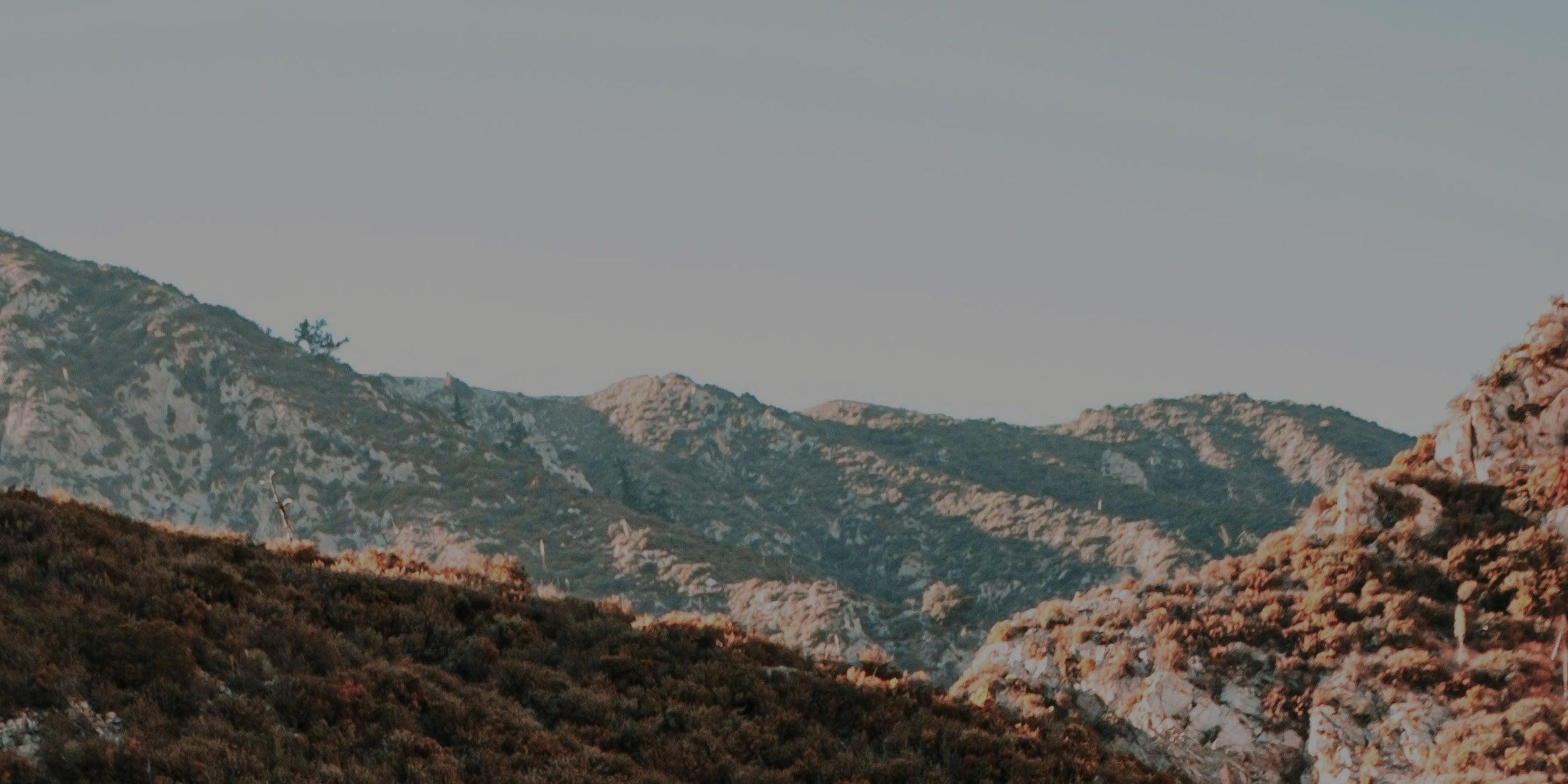  Full Bleed Banner 