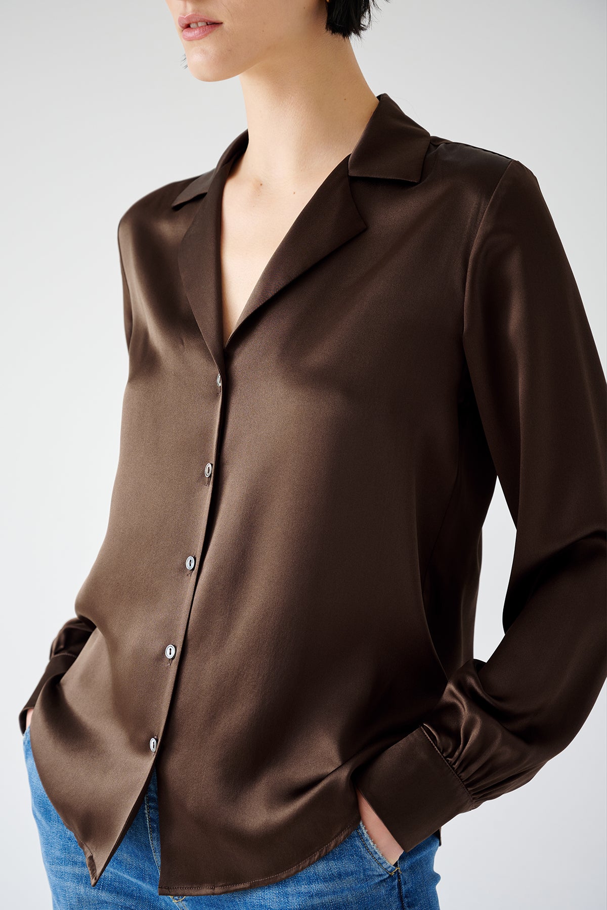   The model is wearing a timeless SOHO TOP brown silk button-up blouse by Velvet by Jenny Graham. 