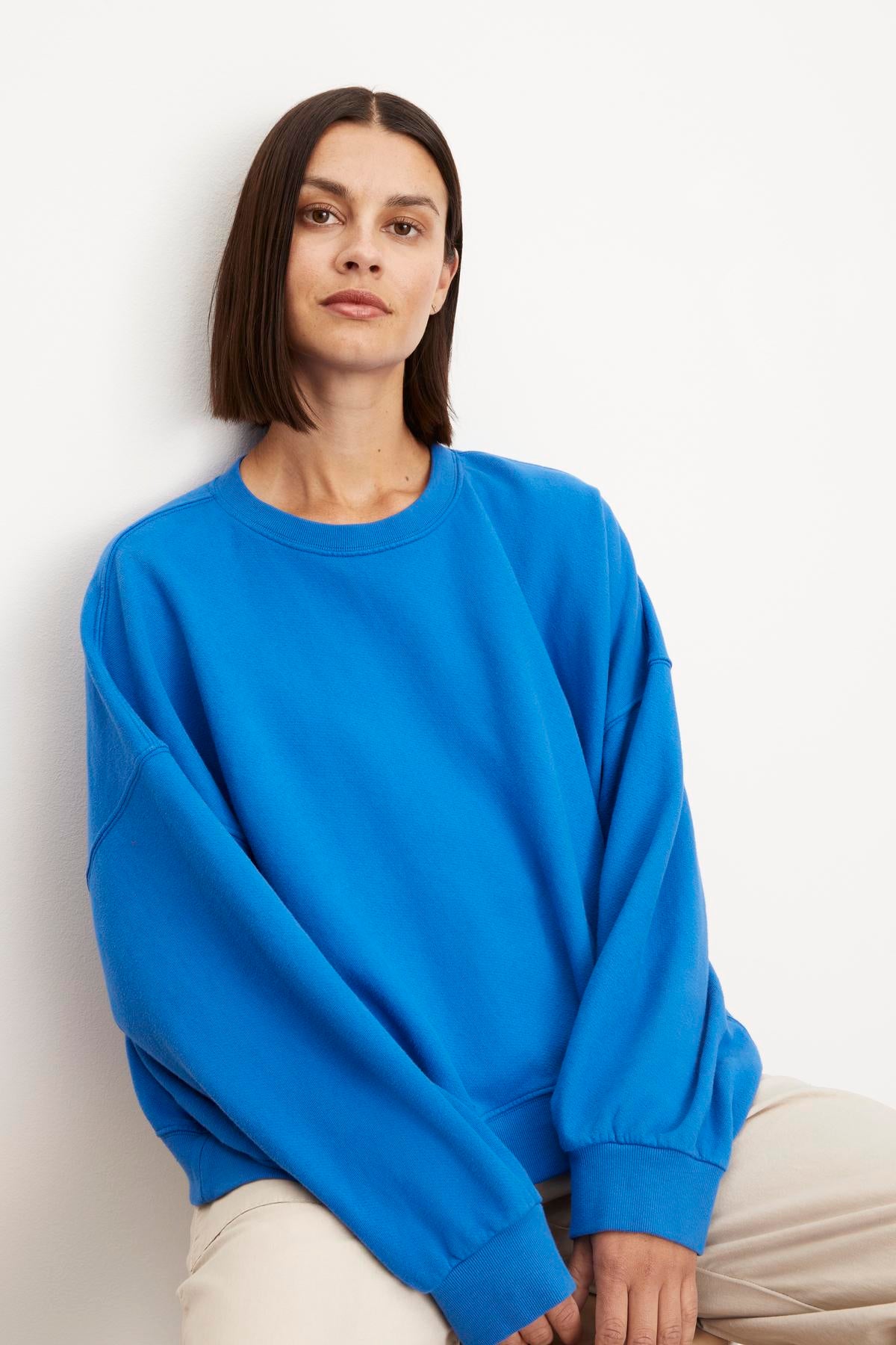 The model is wearing a Velvet by Graham & Spencer Margot Oversized Sweatshirt.-35961316278465