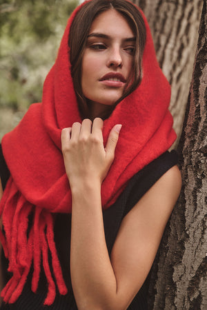 CHIC SOLID SCARF – Velvet by Graham & Spencer
