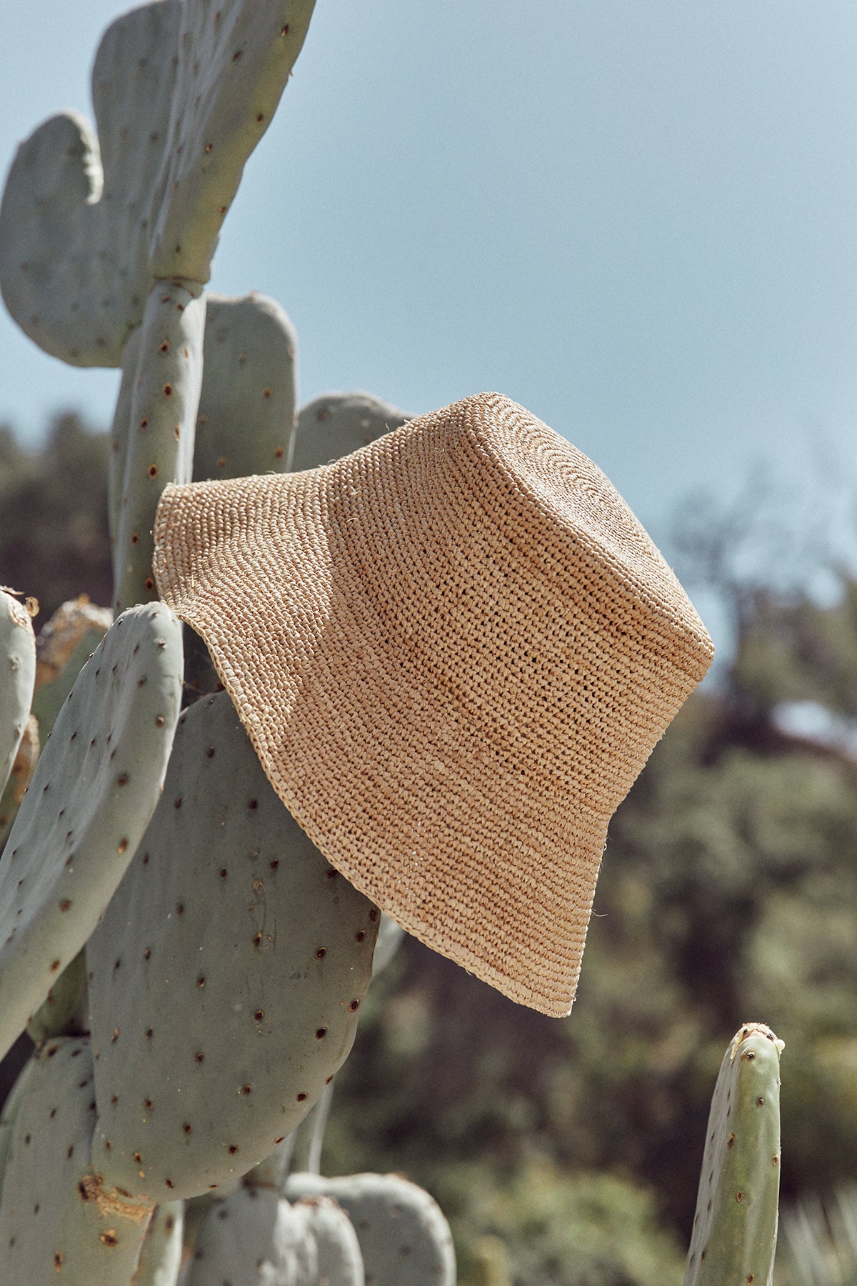  A CHIC CROCHET BUCKET HAT by Velvet by Graham & Spencer sitting on top of a cactus. 