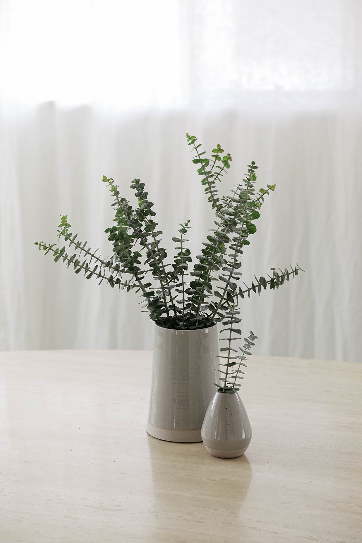   Petite bloom eucalyptus plant in a Jenny Graham Home ceramic bud vase on a table. 
