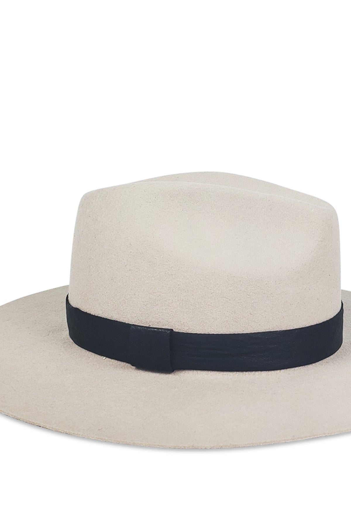   A timeless LUXE AVA FEDORA hat with a black band by Velvet by Graham & Spencer. 