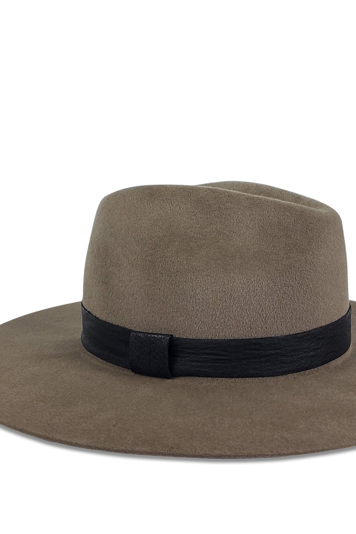   A timeless Luxe Ava Fedora hat with a black band on a white background by Velvet by Graham & Spencer. 