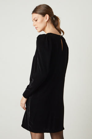 Aggie Silk Velvet Dress in black back