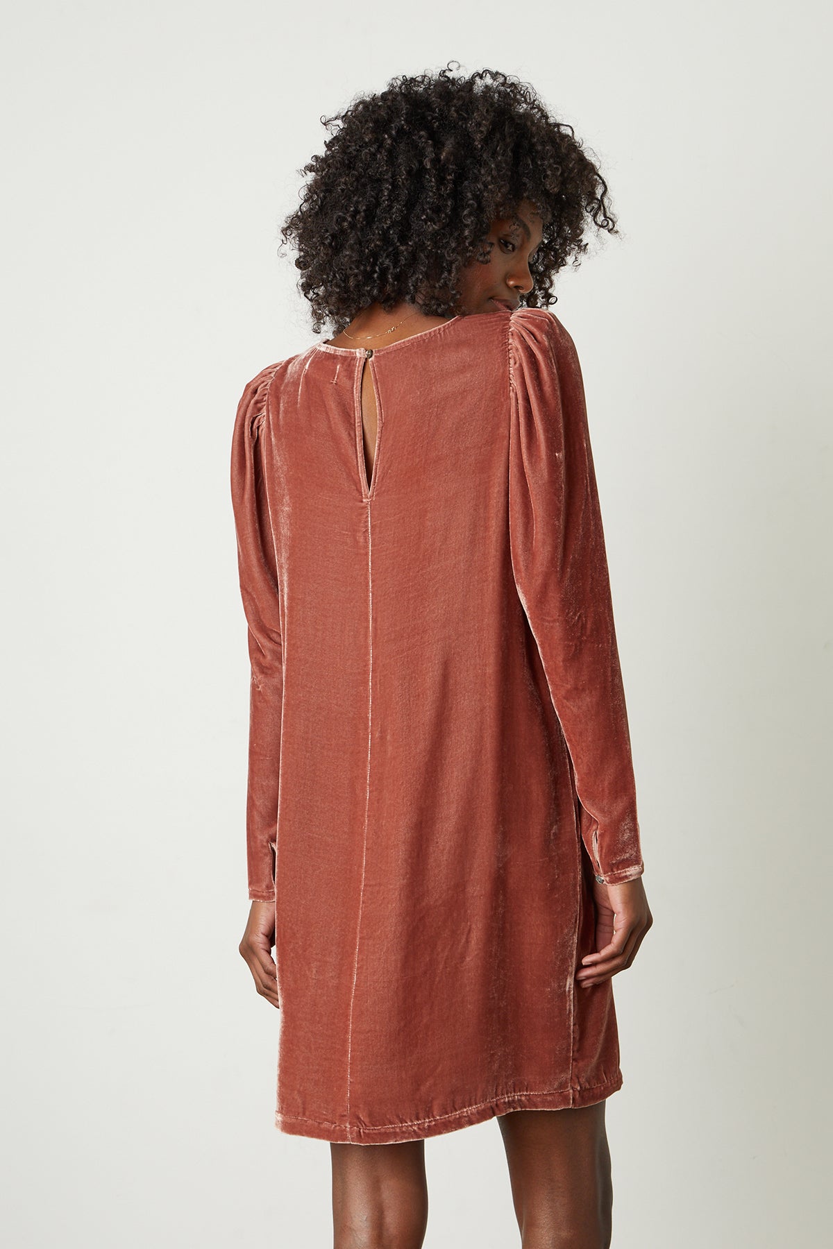 Aggie Silk Velvet Dress in rosegold back-25668240801985